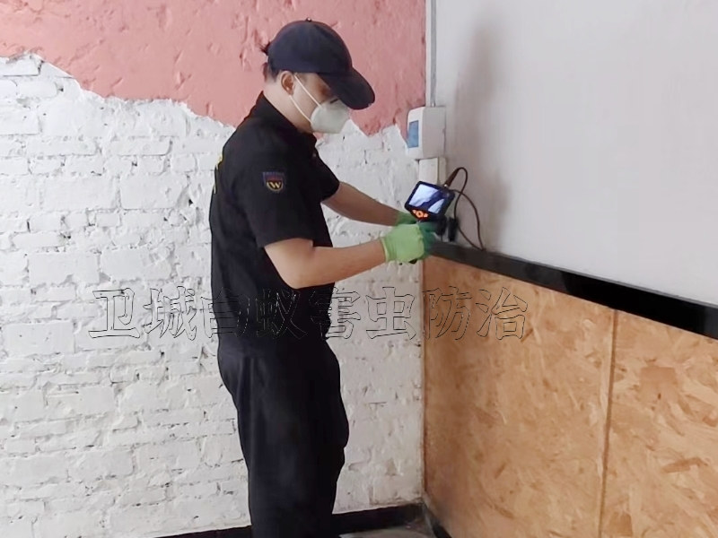 ��ƽ���Ϸ�����|弲����Ϸ�������