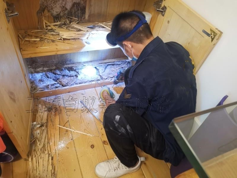 ݸļǰԤ